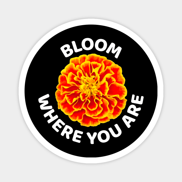 Bloom where you are with happy golden marigold Magnet by pickledpossums